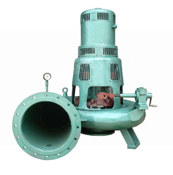 Axial Flow Permanent Magnet Water Turbine Generator