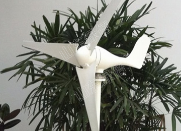 Model S 100w Wind Turbine