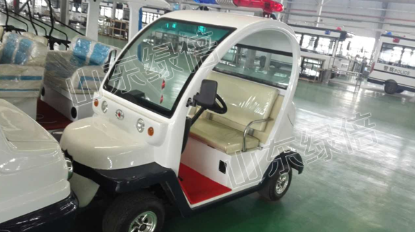 Electric Patrol Car(2 Seats)