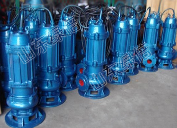 QW Vertical Electric Submersible Sewage Pump